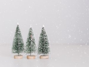 three tiny chritsmas trees